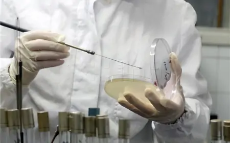 SALMONELOM U LOŠINJSKOM HOTELU ZARAŽENO VIŠE OD 70 LJUDI