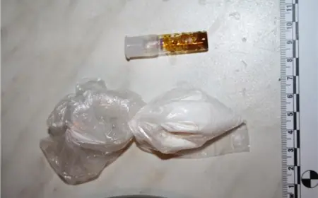 DILER IZ BiH U ZADRU UHIĆEN S VIŠE OD KILOGRAMA AMFETAMINA I POLA KILOGRAMA MDMA