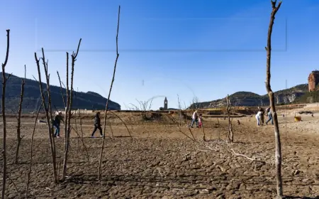 ŠPANJOLSKA: TURISTI I LOKALCI ZBOG SUŠE ČEKAJU U REDOVIMA ZA PITKU VODU