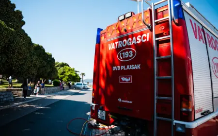 LOKALIZIRAN POŽAR NA VIRU