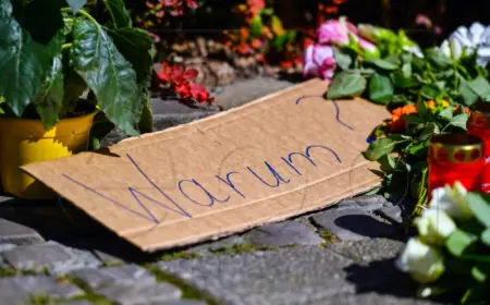 ISLAMSKA DRŽAVA PREUZELA ODGOVORNOST ZA NAPAD NOŽEM U SOLINGENU