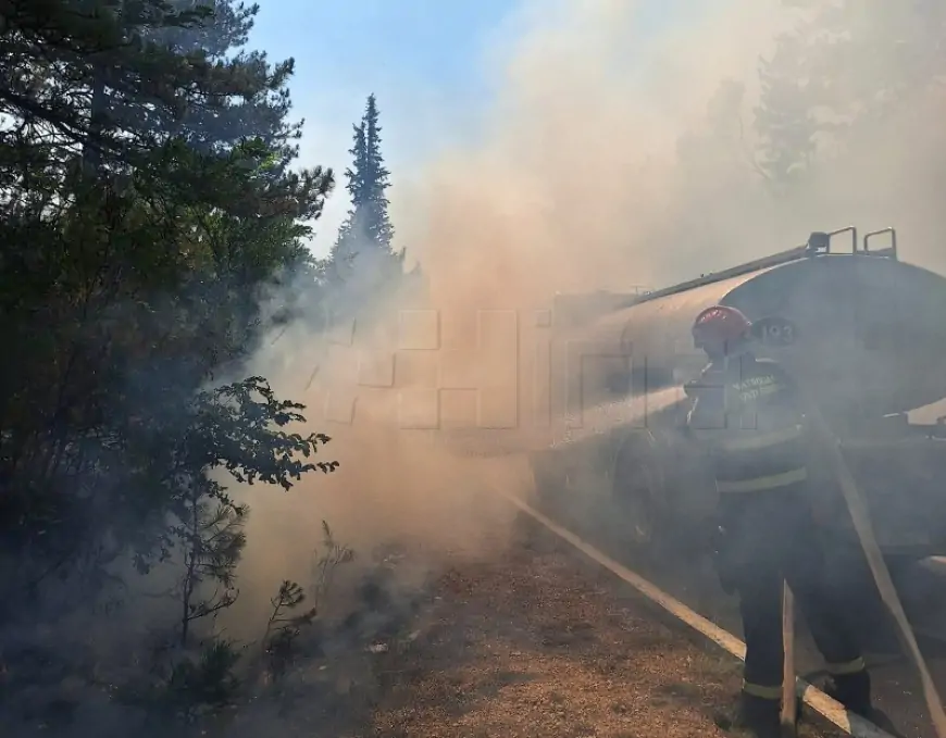 HRVATSKE ŠUME POZVALE NA ODGOVORNO PONAŠANJE: 90 POSTO POŽARA IZAZOVU LJUDI