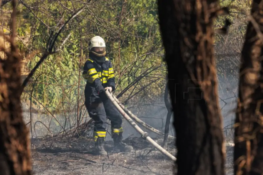VELIK POŽAR NA PODRUČJU BARBANA, IZGORJELO 50-tak HEKTARA ŠUME