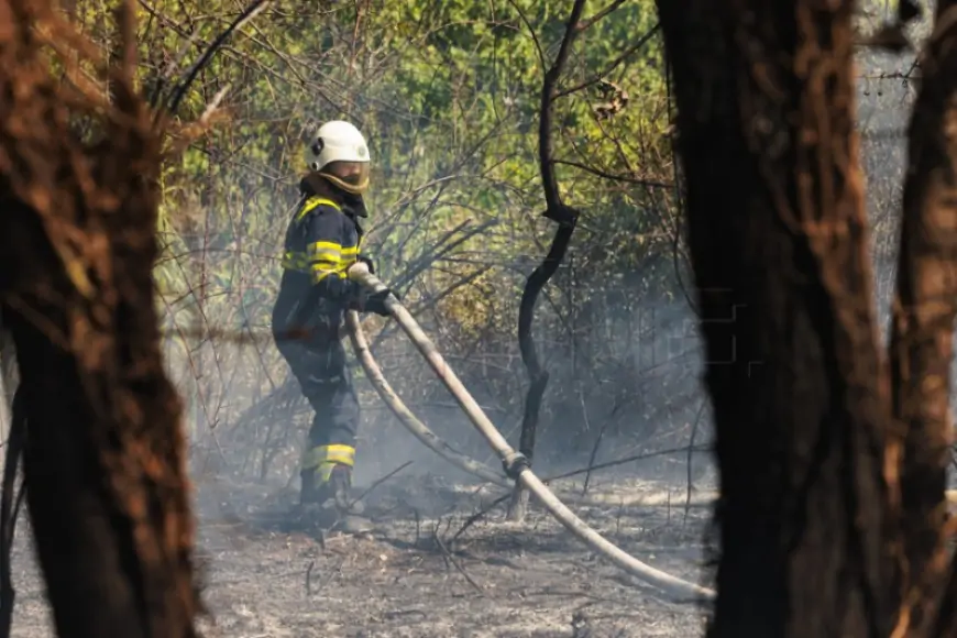 POŽAR KOD SOLINA LOKALIZIRAN