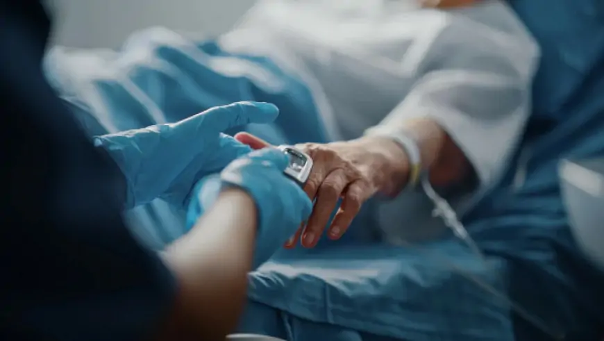 OPASAN VIRUS KOJEG PRENOSE INSEKTI STIGAO U EUROPU: "STVARI BI MOGLE POSTATI NEZAUSTAVLJIVE"