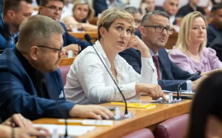 SABORSKA JAVLJANJA ZA RIJEČ: GOTOVO SE NIŠTA NIJE PROMIJENILO