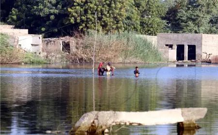 MONSUNSKE KIŠE I POPLAVE ODNIJELE 320 ŽIVOTA U PAKISTANU00