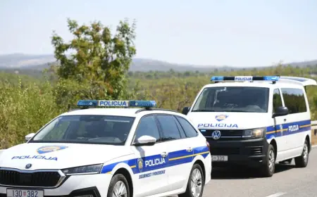 SESTRA UBILA SESTRU: POLICIJA OBJAVILA DETALJE I PRIVELA OSUMNJIČENU