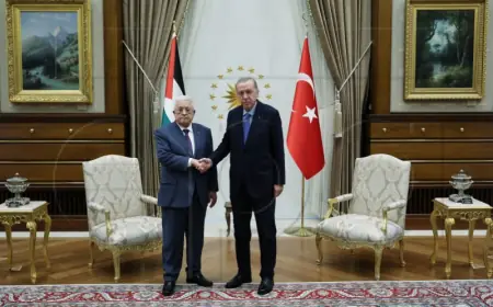 ERDOGAN POZIVA NA SASTANAK O RATU U GAZI SA ČELNICIMA MUSLIMANSKIH ZEMALJA