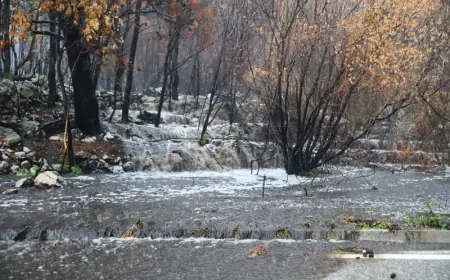 PODORA: SLUŽBE SANIRAJU POSLJEDICE I POPISUJU ŠTETU NAKON SUBOTNJE POPLAVE