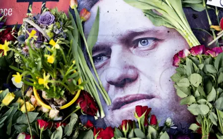 POSTHUMANI MEMOARI ALEKSEJA NAVLJANOG: 'UMRIJET ĆU U ZATVORU'