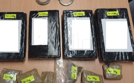 MUP: UHIĆENO VIŠE OSOBA ZBOG ŠVERCA DROGE I ZAPLIJENJENO VIŠE OD 5 KG KOKAINA