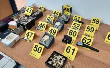 POČINIO 15 KAZNENIH DJELA, PROVALJIVAO U TRGOVINE, KAFIĆE I KUĆE