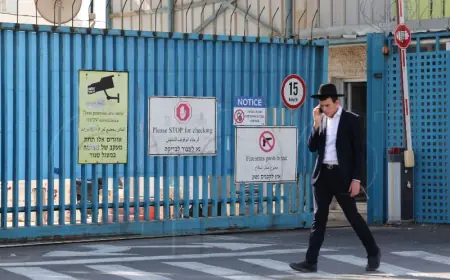 SNAŽNO PORASTAO BROJ IZRAELACA KOJI ŽELE NJEMAČKO DRŽAVLJANSTVO