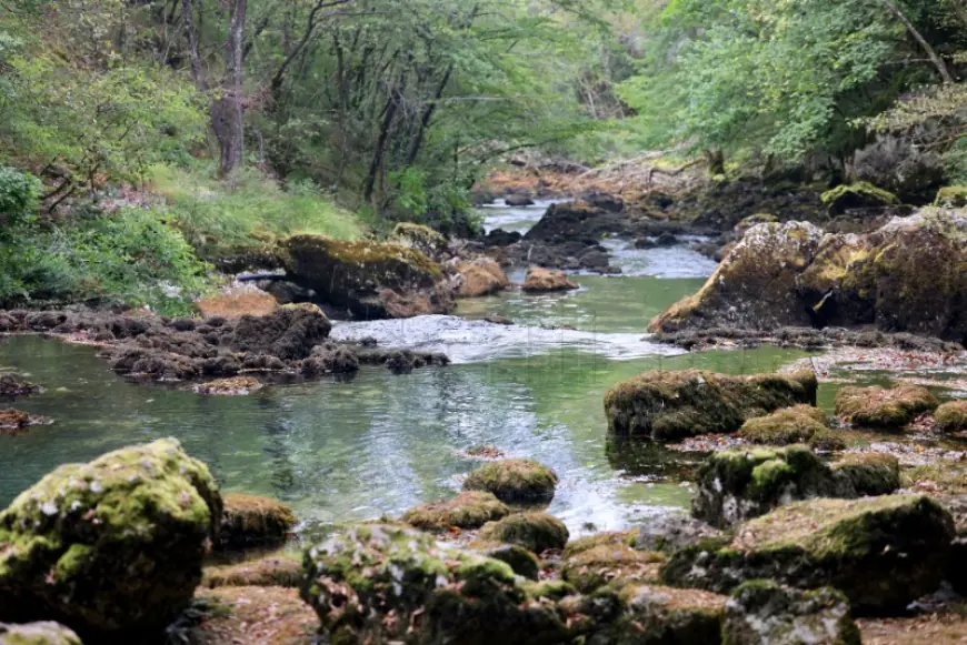 INICIJATIVA 'SPASIMO UNU'  SLAVI POBJEDU: NASTAVLJAMO S NAPORIMA ZA ZAŠTITU TE RIJEKE
