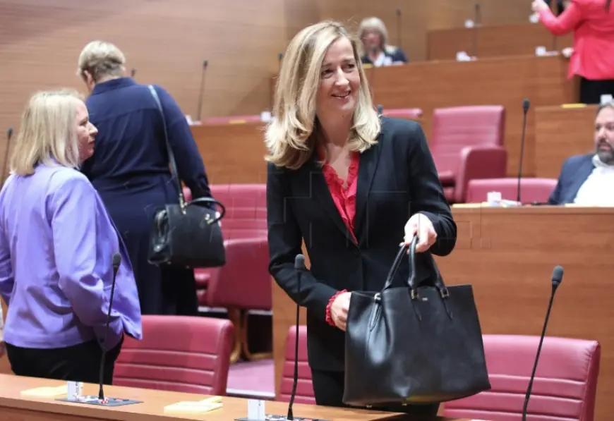 AHMETOVIĆ (SDP): PREMIJER PLENKOVIĆ JE OSREDNJI WANNABE APSOLUTIST