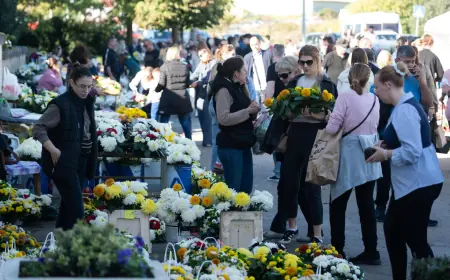 GRADSKO GROBLJE U ZADRU NA BLAGDAN SVIH SVETIH, SVIJEĆE I CVJETNI ARANŽMANI U ZNAK POČASTI VOLJENIMA