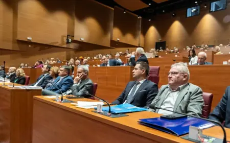 SABOR: O NSATU I NA AKTUALNOM PRIJEPODNEVU