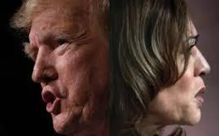 "HARRIS VS TRUMP": AMERIKANCI GLASAJU, SVIJET PRATI