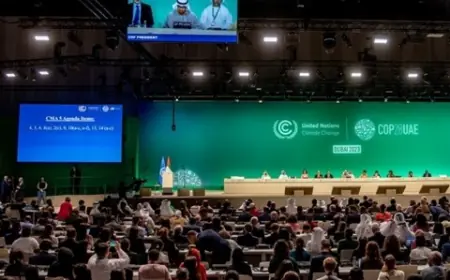 ČELNICI KLJUČNIH ZEMALJA NEĆE IĆI NA SAMIT O KLIMI COP29