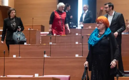 BORIĆ (MOŽEMO!): DISKRIMINIRAJUĆE DEMOGRAFSKE MJERE MINISTRA ŠIPIĆA