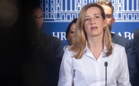 AHMETOVIĆ: PLENKOVIĆ NE ŽELI DA SE NEOVISNE INSTITUCIJE BORE PROTIV KORUPCIJE