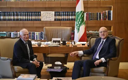 BORREL POZVAO NA VEĆI PRITISAK NA IZRAEL I HEZBOLAH