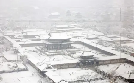 REKORDNI SNIJEG U SEULU, OTKAZANI LETOVI I PREKINUTA OPSKRBA STRUJOM
