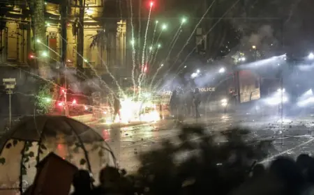 GRUZIJA: SUKOB POLICIJE I PROEUROPSKIH PROSVJEDNIKA ZBOG ZAMRZAVANJA PREGOVORA