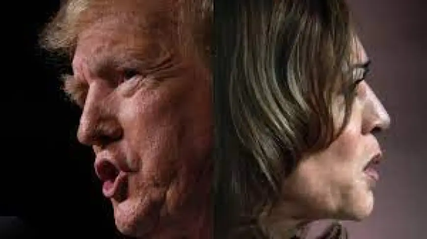 "HARRIS VS TRUMP": AMERIKANCI GLASAJU, SVIJET PRATI