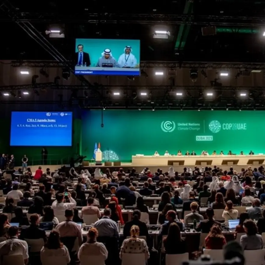 ČELNICI KLJUČNIH ZEMALJA NEĆE IĆI NA SAMIT O KLIMI COP29