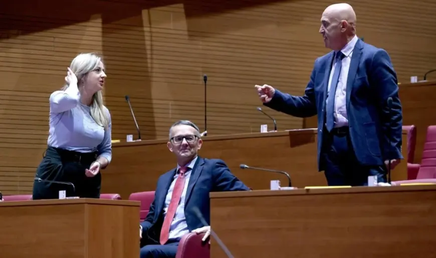 VLAŠIĆ ILJKIĆ (SDP): DOMOVI KOJI SKRBE O NAJRANJIVIJIM NE ZADOVOLJAVAJU POTREBE