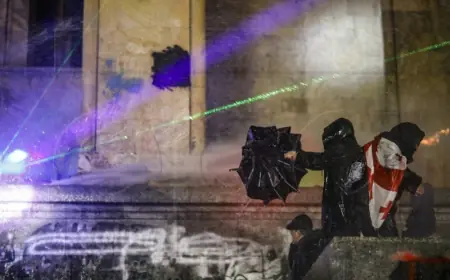 GRUZIJSKA PREDSJEDNICA TRAŽI POTPORU EUROPE PRKOSEĆI VLASTITOJ VLADI