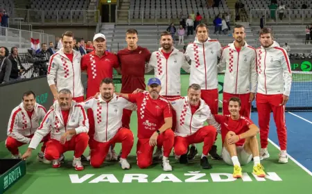 DAVIS CUP: HRVATSKA DOMAĆIN SLOVAČKOJ