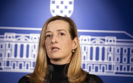 AHMETOVIĆ: USPROTIVILI SMO SE PLENKOVIĆEVOM STAVU 'MOGU ŠTO HOĆU'