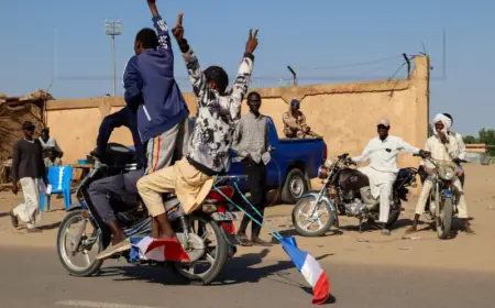 FRANCUSKA VOJSKA SE POVLAČI IZ ČADA