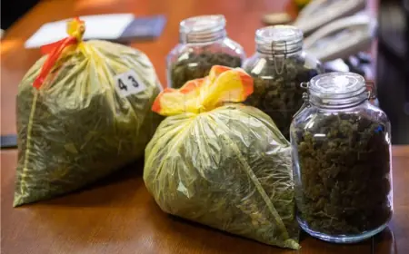 U AUTOMOBILU DRŽAO PREKO 5,5 KILOGRAMA MARIHUANE ZA PREPRODAJU