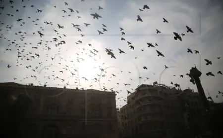 TISUĆE SIRIJACA SLAVE NA ULICAMA "POBJEDU REVOLUCIJE"