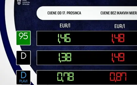 OD SUTRA JEFTINIJE GORIVO, OBJAVLJENE CIJENE