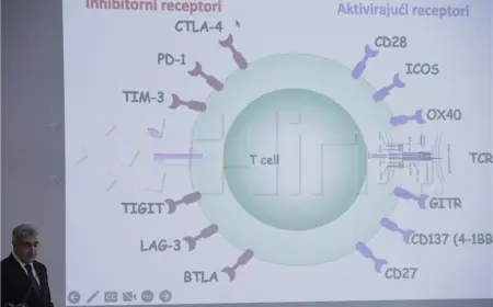 ZAKLADA ZORA PREDSTAVILA KAMPANJU ZA DOMAĆU PROIZVODNJU STANIČNIH IMUNOTERAPIJA