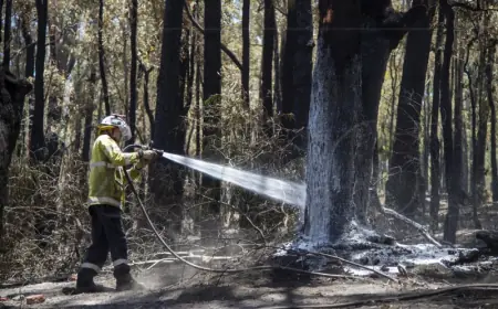 AUSTRALSKOM DRŽAVOM VICTORIA BJESNE ŠUMSKI POŽARI