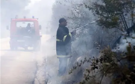 POŽAR NA BRDU IZNAD NASELJA ALJINOVIĆI KOD ŽRNOVNICE