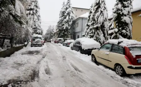 SRBIJA ZBOG SNIJEGA PRIMORANA NA DJELOMIČAN UVOZ STRUJE