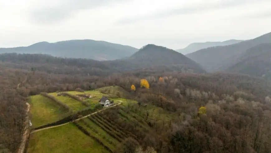 KUĆA STRAVE NA OSAMI: MRTVU DJECU ZAKOPALI U DVORIŠTU, OTKRIVENO DA SU UHIĆENI NA DRUGOM KRAJU HRVATSKE