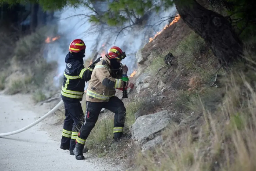 POŽAR U ŽRNOVNICI POD KONTROLOM, NASTAVLJA GA GASITI 50 VATROGASACA