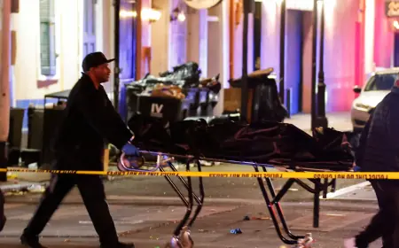 AMERIČKE AGENCIJE BRINU SE DA BI NAPAD KAMIONOM U NWE ORLEANSU MOGAO POTAKNUTI IMITATORE