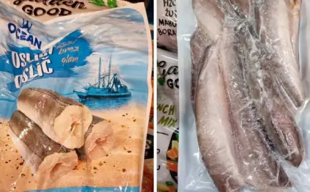 IZ DUĆANA SE POVLAČI SMRZNUTI OSLIĆ OCEAN, OTKRIVEN PARAZITI