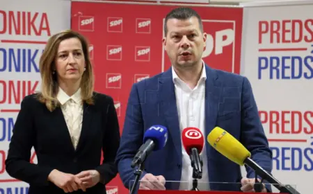 AHMETOVIĆ: SUMNJAM DA JE IZVJEŠĆE CIR-a NARUČIO PLENKOVIĆ