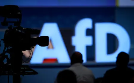 AfD STRANCIMA U POŠTANSKE SANDUČIĆE UBACIVAO "POVRATNE KARTE"