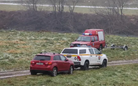 PREKINUTA POTRAGA, CURICI NEMA TRAGA. MAJKU TERETE ZA TEŠKO UBOJSTVO